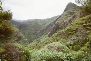 Image of pararahavalleyq.jpg