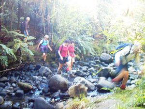 Image of parau04kakamatuastream.jpg