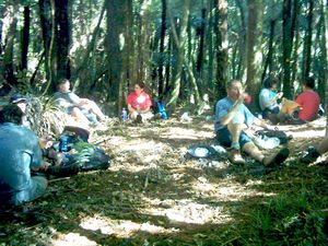 Image of parau04lunch.jpg