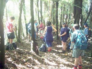 Image of parau04nihotuporidgetrack.jpg