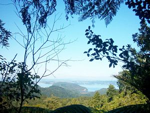 Image of parau04viewcornwallis2.jpg