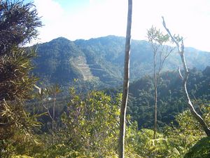 Image of parau04viewgoathill.jpg