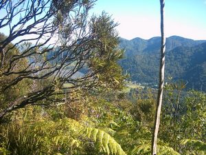 Image of parau04viewhuia.jpg