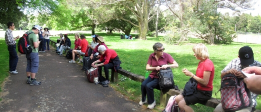 Image of parnellstheliersamas16c.jpg