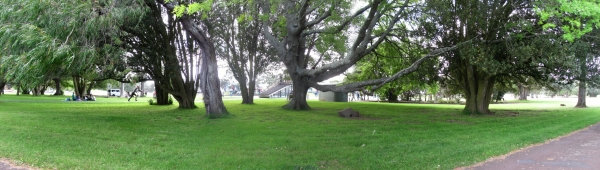 Image of parnellstheliersamas16d.jpg