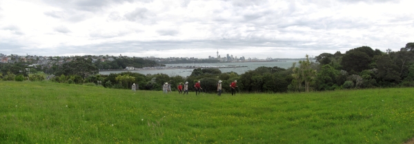 Image of parnellstheliersamas16f.jpg