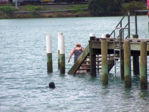 Image of parnellstheliersamas16k.jpg