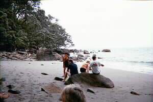 Image of peachcove2q.jpg