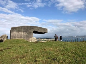 Image of peachcoveaug17c.jpg