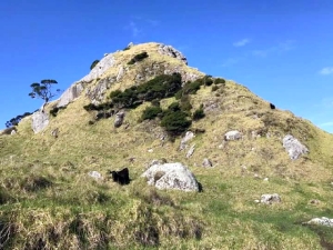 Image of peachcoveaug17e.jpg