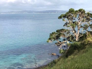 Image of peachcoveaug17f.jpg