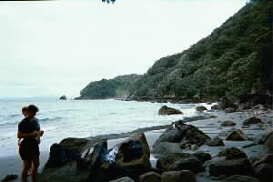 Image of peachcoveq.jpg