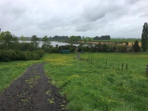 Image of peatlakes17g.jpg