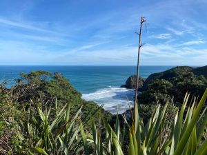 Image of pihajul22e.jpg