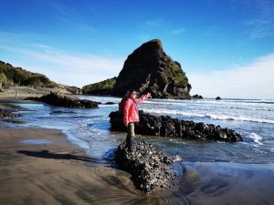 Image of pihajul22f.jpg