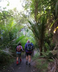 Image of pihamay17huaa.jpg