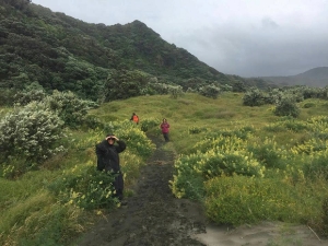 Image of pihanov16a.jpg