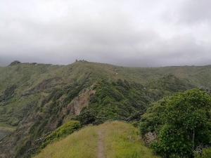 Image of pihanov16h.jpg