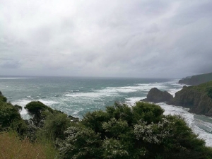 Image of pihanov16l.jpg