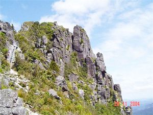 Image of pinnacles04045.jpg