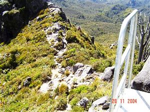 Image of pinnacles04ladder.jpg