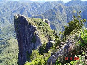 Image of pinnacles04summit.jpg