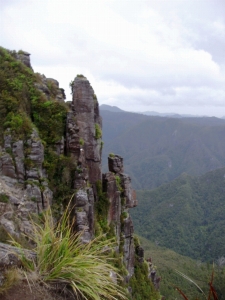 Image of pinnacles122.jpg