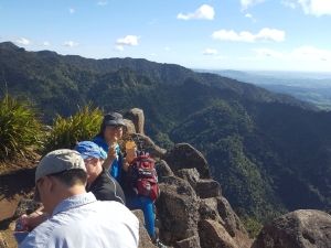 Image of pirongiaaug18c.jpg