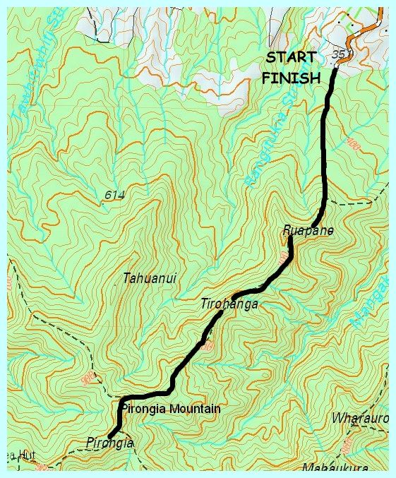 Image of pirongiamap08.jpg