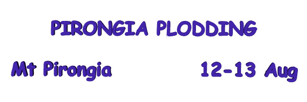 Image of pirongiaploddingaug23.gif
