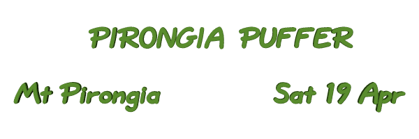 Image of pirongiapuffer08.gif