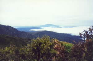 Image of pirongiasummitscene2q.jpg