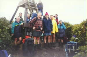 Image of pirongiatriggroupieq.jpg