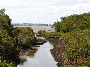 Image of pointenglandmar06b.jpg