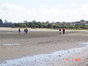 Image of pointenglandmar06rmudflats.jpg