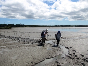 Image of pollenfeb17d.jpg