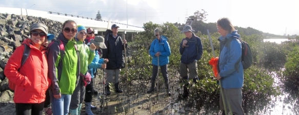 Image of pollenislandmay16a.jpg