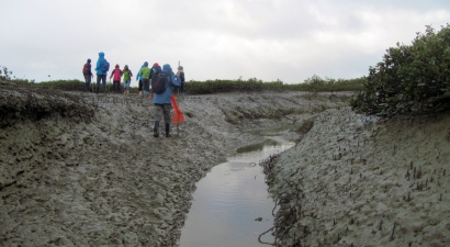 Image of pollenislandmay16c.jpg