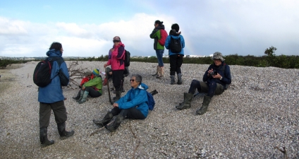 Image of pollenislandmay16h.jpg