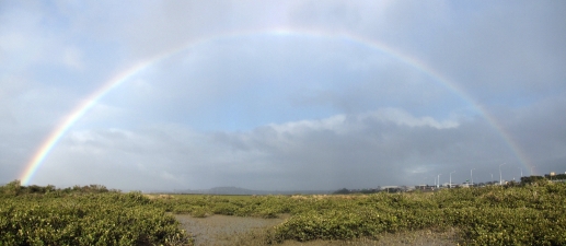 Image of pollenislandmay16i.jpg