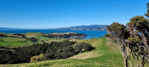 Image of ponuimay26c.jpg