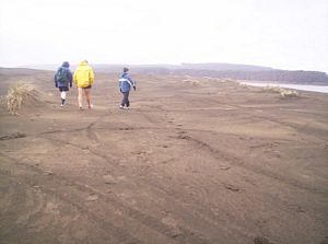 Image of portwaikatojul05baredune.jpg