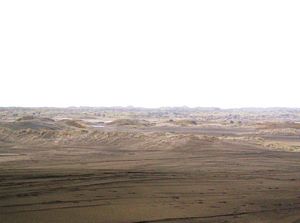 Image of portwaikatojul05bareduneview.jpg