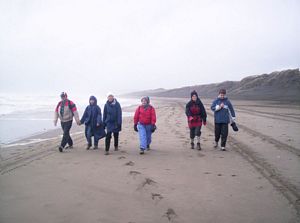 Image of portwaikatojul05onbeach.jpg