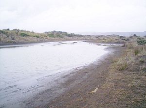 Image of portwaikatojul05pond.jpg