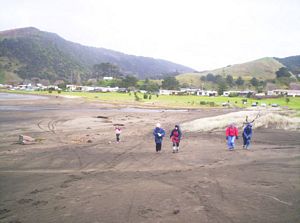 Image of portwaikatojul05settingout.jpg