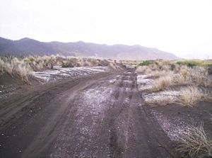 Image of portwaikatojul05track.jpg