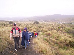 Image of portwaikatojul05track2.jpg