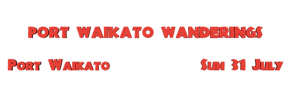Image of portwaikatowanderings.gif