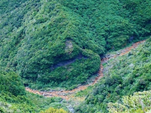 Image of pouakaifeb20b.jpg